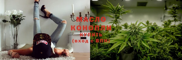 твердый Ельня