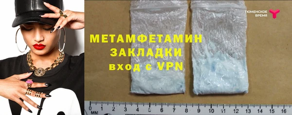 прущие грибы Елабуга