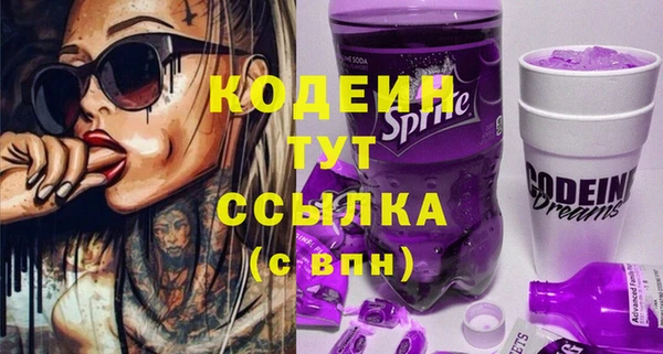 твердый Ельня