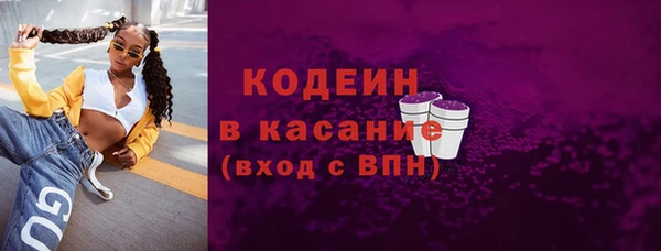 твердый Ельня
