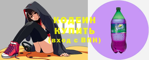 прущие грибы Елабуга