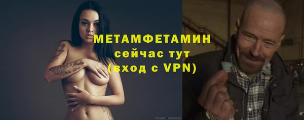 твердый Ельня