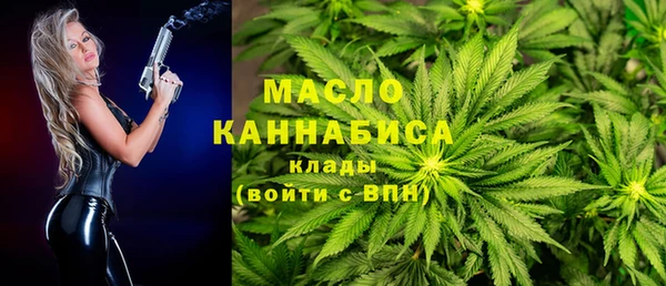 твердый Ельня
