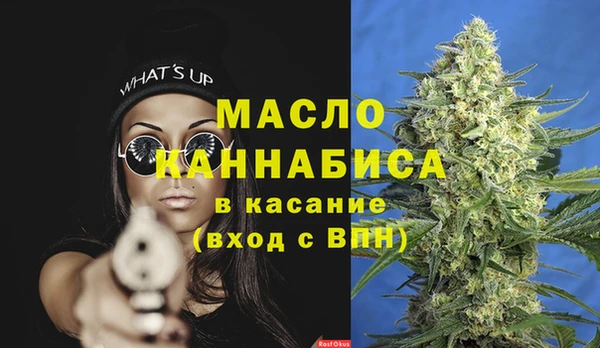 твердый Ельня