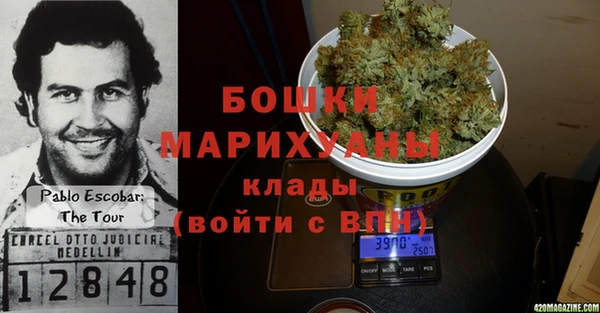 прущие грибы Елабуга