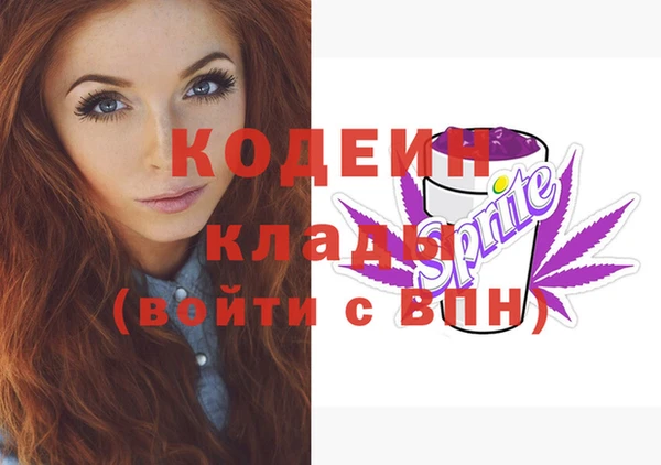 прущие грибы Елабуга