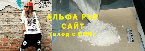 прущие грибы Елабуга