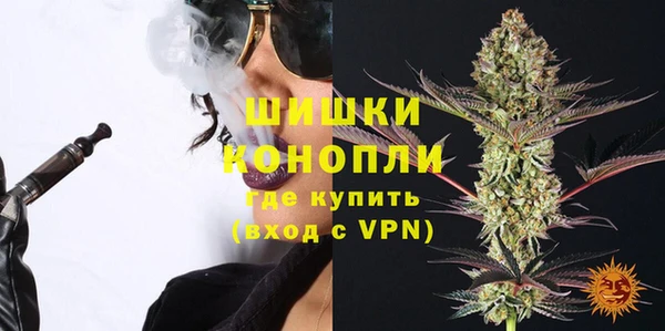 прущие грибы Елабуга