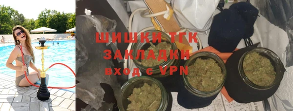 прущие грибы Елабуга