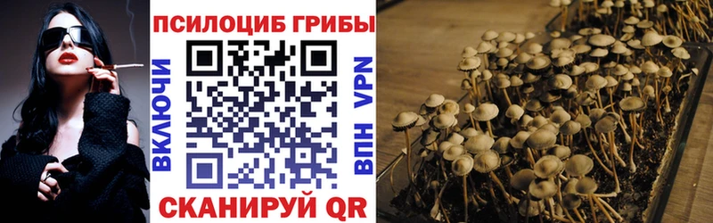 Галлюциногенные грибы ЛСД  Купить где  Гаджиево 